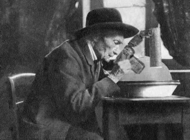 2021-2025: 4 anni di foto e osservazioni entomologiche
